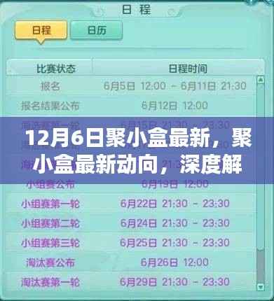 聚小盒最新动态深度解析与观点阐述(12月6日更新)