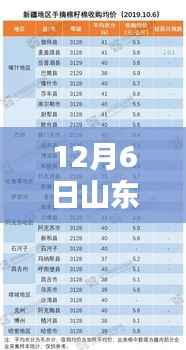 12月6日山东籽棉最新价格动态及行业影响分析