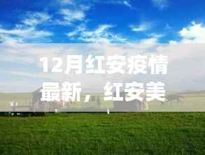 12月红安疫情最新,红安美景呼唤心灵之旅,疫情下与自然共舞,寻找内心的宁静与平和