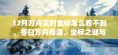 冬日方舟奇遇,坐标之谜与友情之旅的探寻