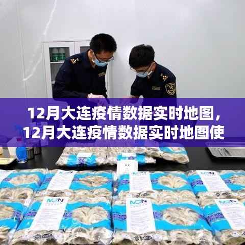 12月大连疫情数据实时地图,使用指南及最新数据概览