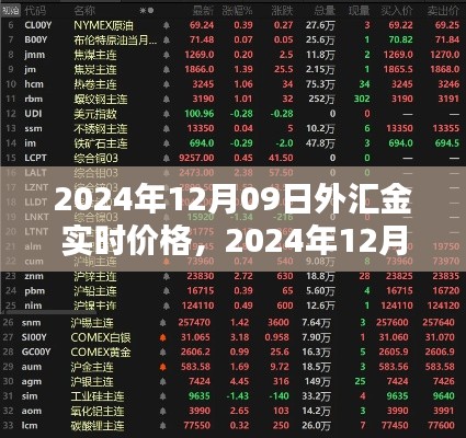 全方位指南,2024年12月09日外汇金实时价格查询与理解,适合初学者至进阶用户