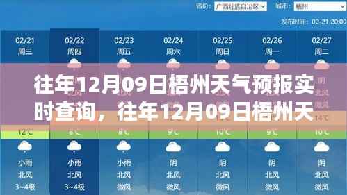 往年12月09日梧州天气预报实时查询,气象数据与未来展望概览