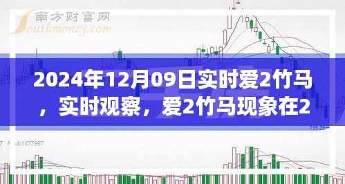 2024年12月9日深度解读,爱2竹马现象实时观察与解读