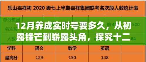 探究十二月养成实时号,从初露锋芒到崭露头角所需时间与影响力