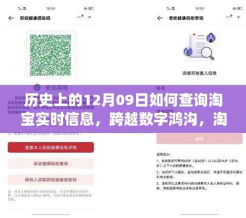 淘宝实时信息探索之旅,跨越数字鸿沟,历史与现代交汇点上的淘宝实时信息查询指南