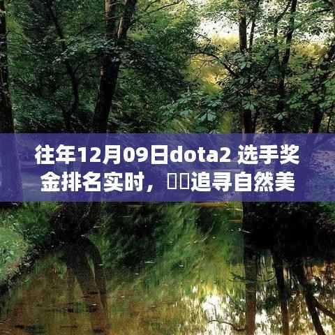追寻自然美景之旅，DOTA2奖金背后的静谧力量——历年奖金排名实时回顾