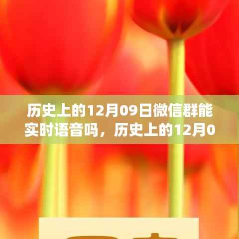 历史上的12月09日,微信群实时语音与探寻自然美景的心灵之旅