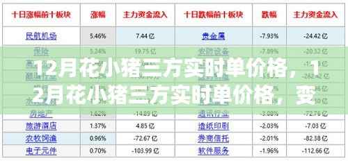 12月花小猪三方实时单价格变动,探索学习之路,培育自信与成就感的源泉