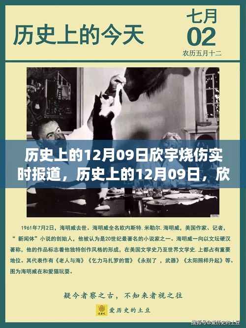 历史上的12月09日欣宇烧伤事件深度解析与实时报道汇总。