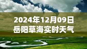 岳阳草海深处的惊喜,天气奇遇记与特色小店的探索(实时天气情况)