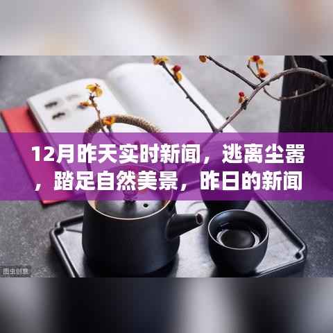 昨日新闻与今日心灵之旅,逃离尘嚣,踏足自然美景的奇妙之旅