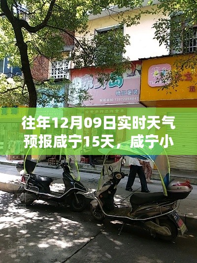咸宁天气预报揭秘,小巷深处的天气秘密与特色小店的实时预报之旅