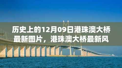 港珠澳大桥最新风采,探索自然美景之旅,追寻内心的宁静与平和的历程