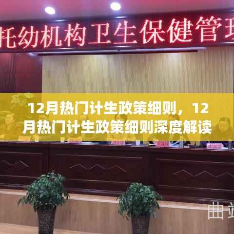 深度解读,12月计生政策细则与个人见解与立场