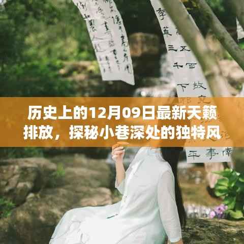 探秘历史天籁排放日,隐秘美食宝藏与小巷深处的独特风味