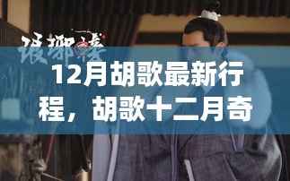 胡歌十二月友情盛宴,冬日暖阳下的奇遇之旅