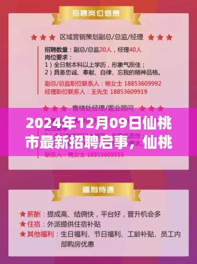 仙桃市最新招聘启事，职场精英的新机遇（2024年12月）