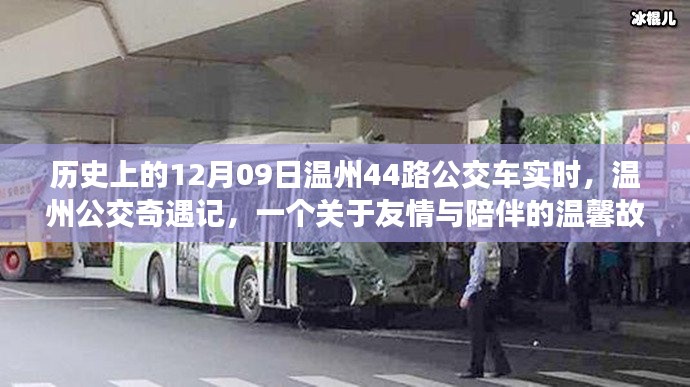 温州公交奇遇记,友情与陪伴的温馨故事在12月09日的公交车上展开