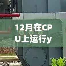 详细步骤指南,在CPU上运行YOLOv3实现实时目标检测,12月CPU版YOLOv3实时检测操作指南