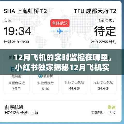 小红书独家揭秘,轻松掌握航班动态,揭秘飞机实时轨迹监控全攻略!
