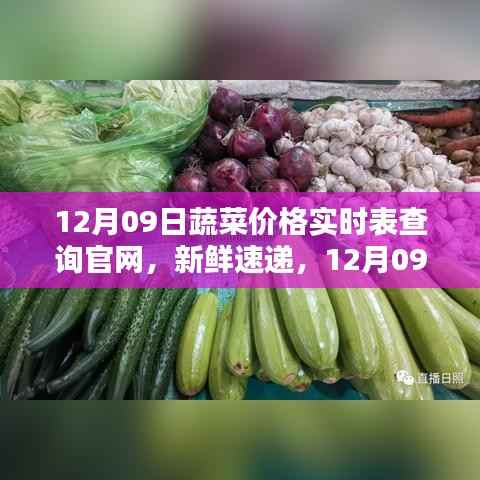 12月09日蔬菜价格实时表查询官网,最新动态一键掌握
