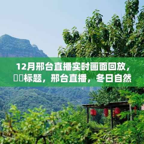 邢台直播,冬日自然之旅探寻宁静心灵的直播回放