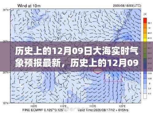 历史上的12月09日大海实时气象预报深度解析与最新分析