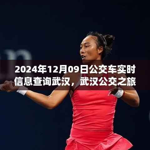 武汉公交探索之旅,探寻自然美景,重拾心灵宁静的奇妙旅程(2024年12月09日实时信息查询)