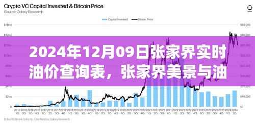 张家界油价查询表与美景探索,寻找内心平静的油价之旅