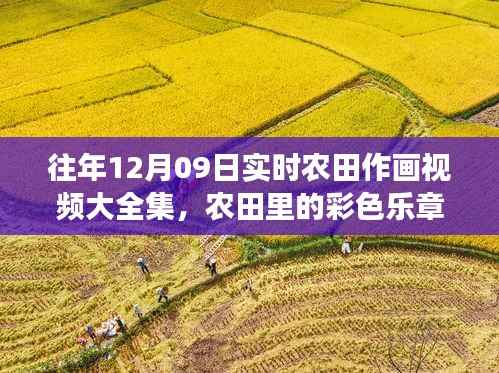 暖心友谊见证下的农田彩色乐章，实时作画视频集锦