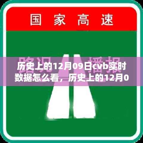 历史上的12月09日CVB实时数据解读指南，如何查看与解读实时数据？