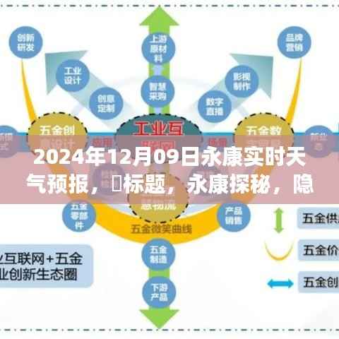 永康探秘,巷子深处的天气与美食奇遇(2024年12月9日实时天气预报)