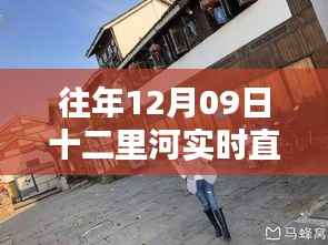 探秘十二里河直播秘境,实时直播特色小店的日常