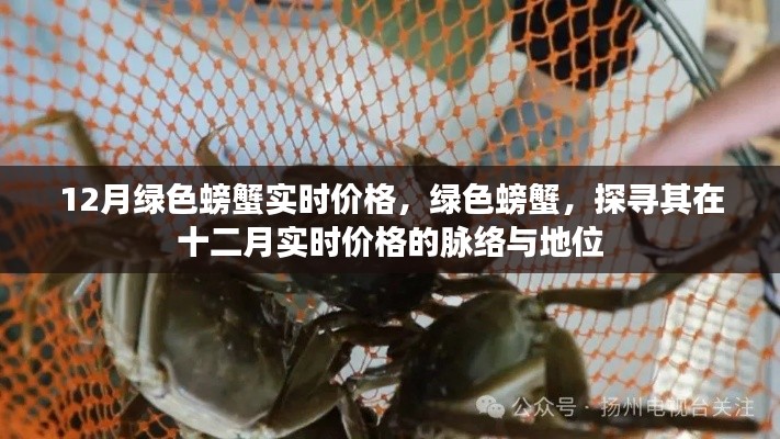 探寻绿色螃蟹在十二月实时价格走势及市场地位