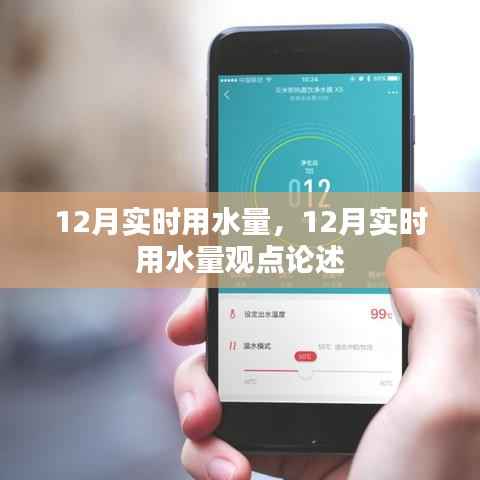 12月实时用水量观点论述，深度探讨与解析
