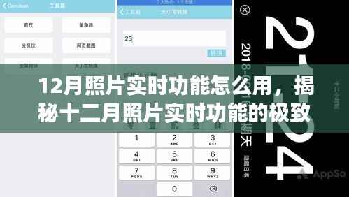 揭秘十二月照片实时功能,极致应用与摄影新技巧轻松掌握