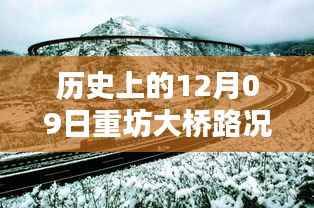 历史上的12月09日重坊大桥路况实时查询,深度分析与观点阐述