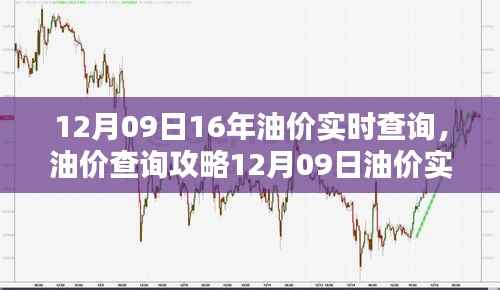 油价动态轻松掌握,12月09日油价实时查询攻略