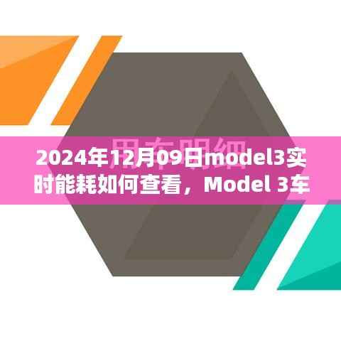 2024年12月09日Model 3实时能耗查看指南，车主必看
