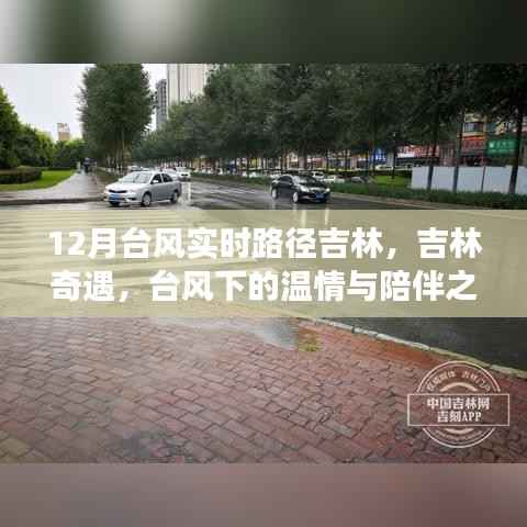 台风影响下的吉林温情之旅,实时路径与陪伴之旅