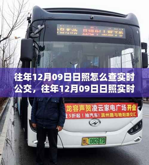 往年12月09日日照实时公交查询系统详解与评测指南