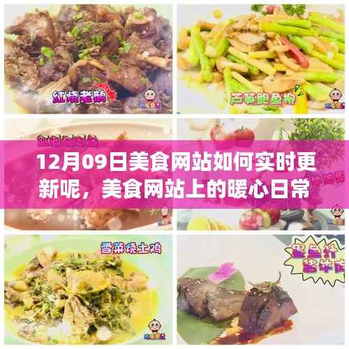 美食网站暖心日常,实时更新与陪伴的十二月美食之旅