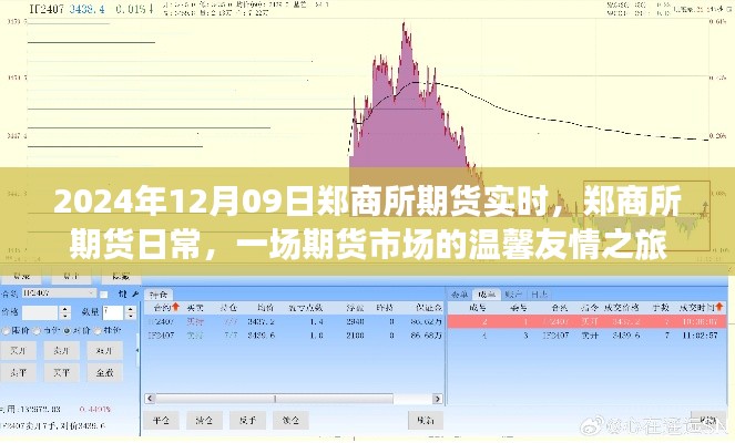 郑商所期货市场之旅,日常动态与温馨友情体验(2024年12月09日实时更新)