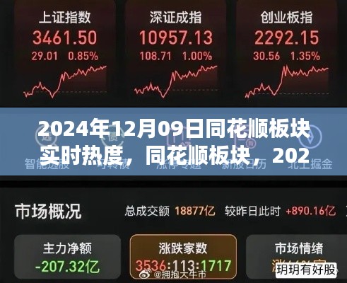 2024年12月09日同花顺板块热度全景透视，实时热度与板块动态分析
