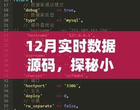 探秘数据源码宝藏,揭秘特色小店与小巷深处的秘密