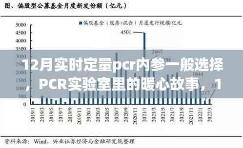12月PCR实验室内参选择与暖心故事,内参选择的奇妙之旅