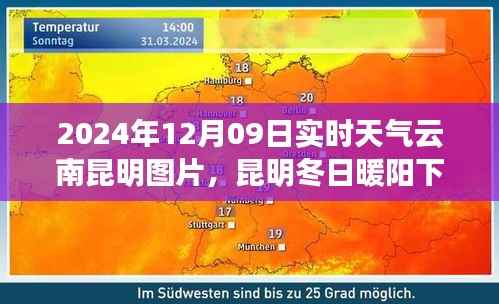 昆明冬日暖阳下的温情故事与实时天气图片 2024年12月09日