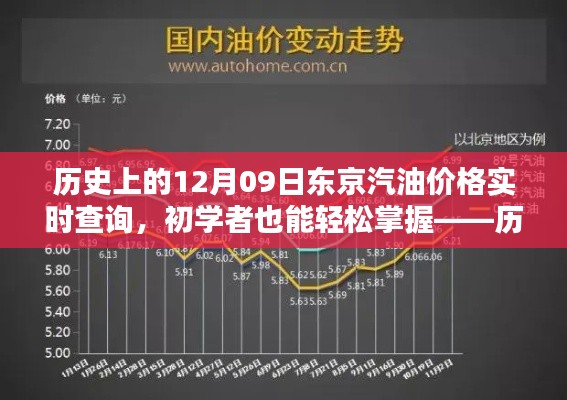 历史上的东京汽油价格实时查询攻略,初学者进阶版全指南
