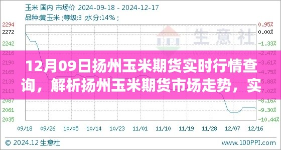 扬州玉米期货市场走势解析,实时行情下的多方观点博弈